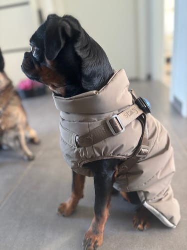 Customer photo review of Staey - Vera Hundejakke m. sele, Sage