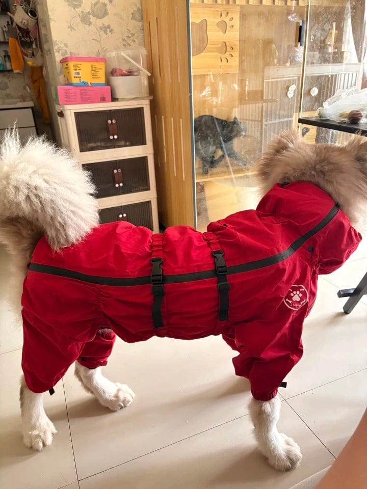 Customer photo review of Chubasquero MellowPurr Ventura – Protección Exterior Profesional