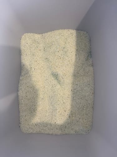 Customer photo review of 1 Month Supply – 2 Cat