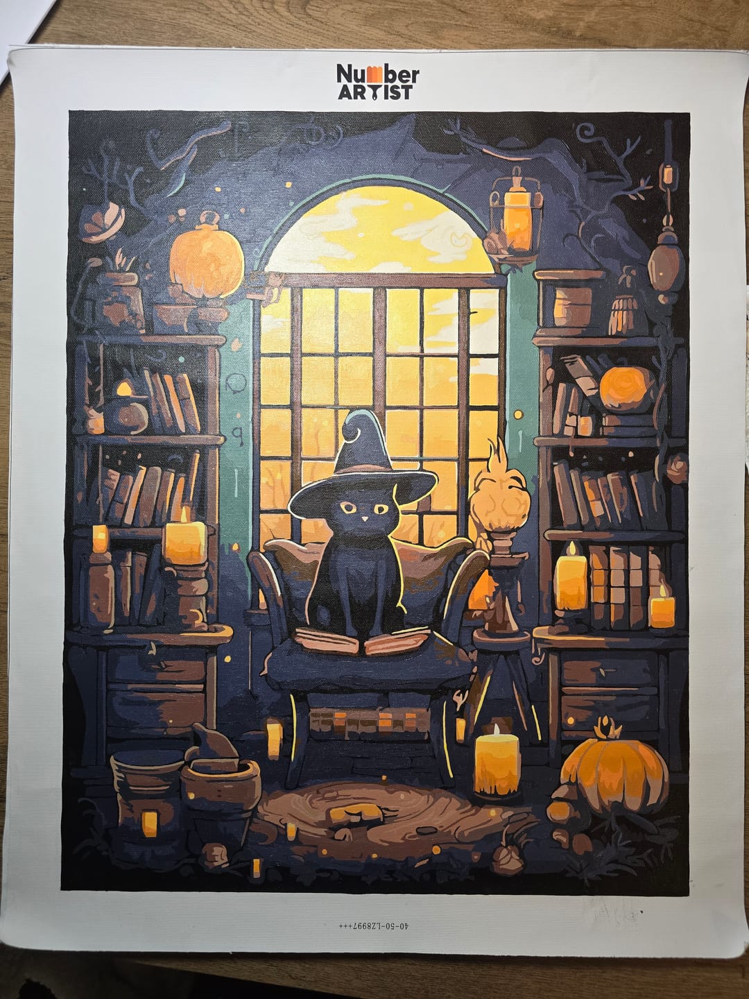 Customer photo review of Kitty's Library