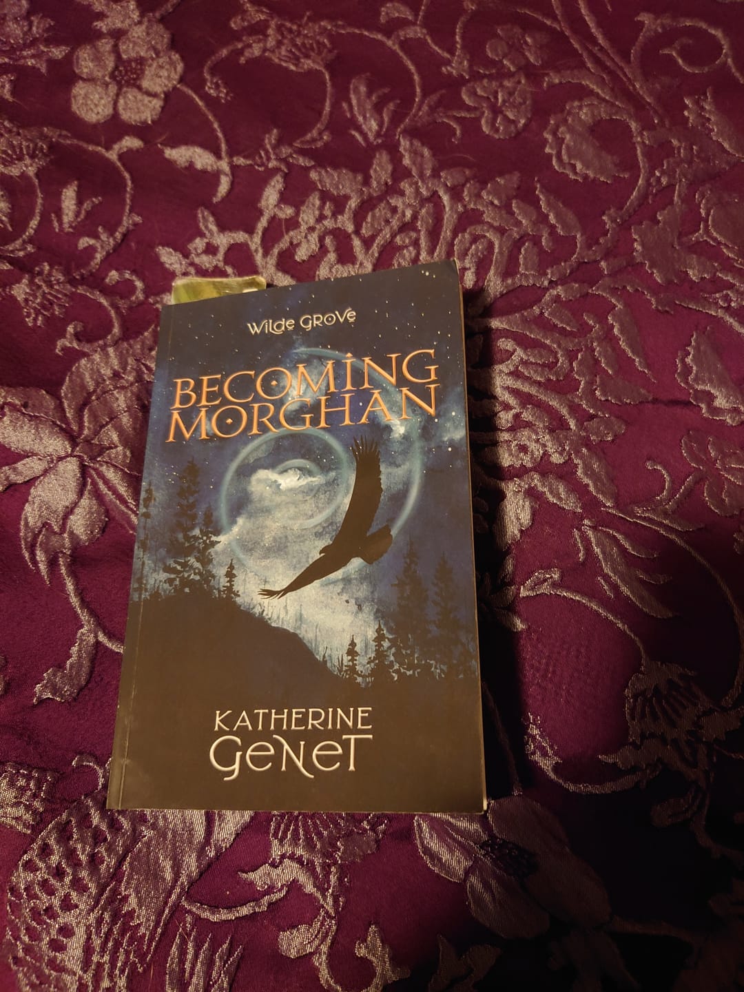 Customer photo review of Becoming Morghan (Wilde Grove Branches) Paperback