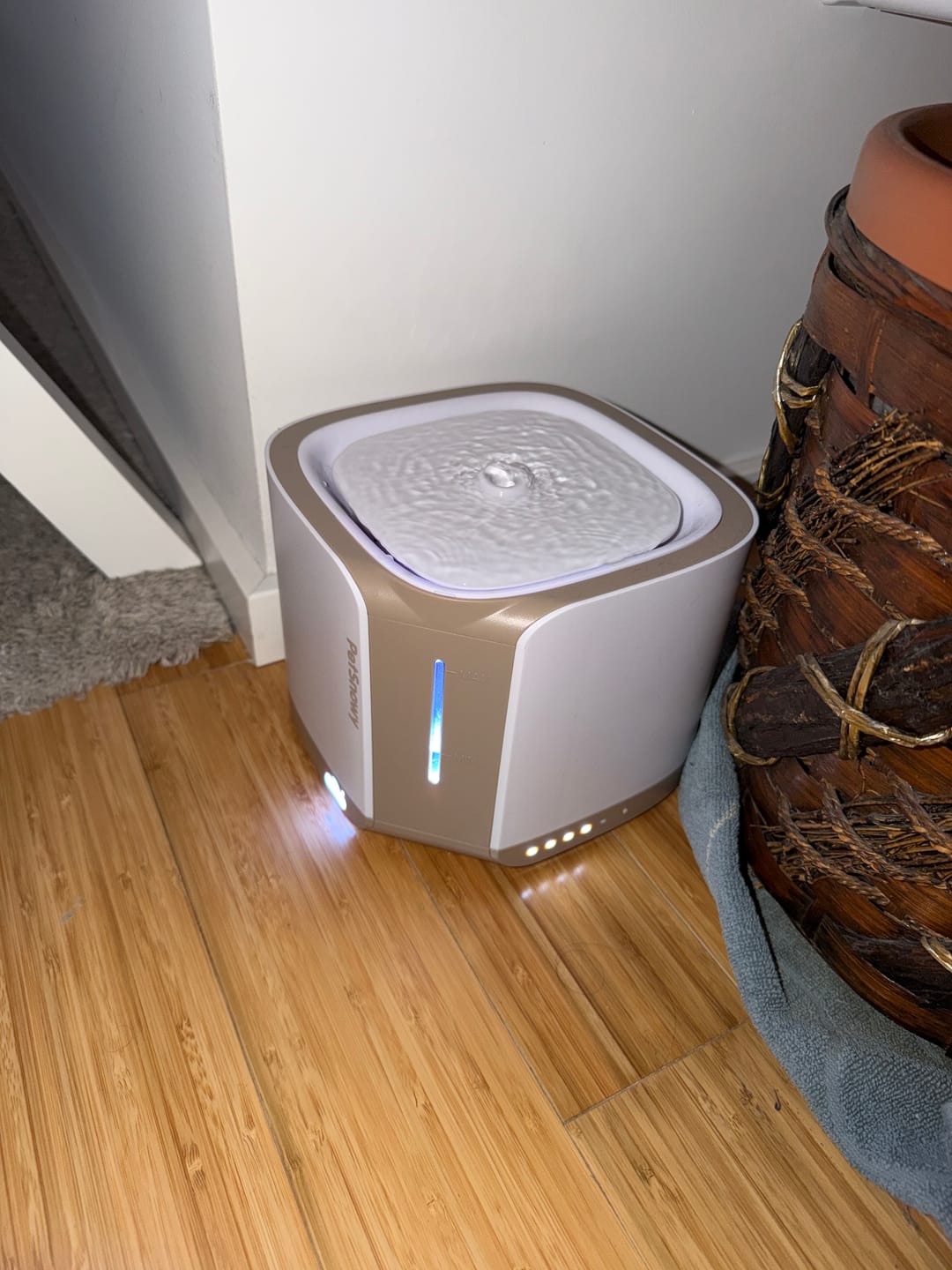 Customer photo review of Pet Water Fountain