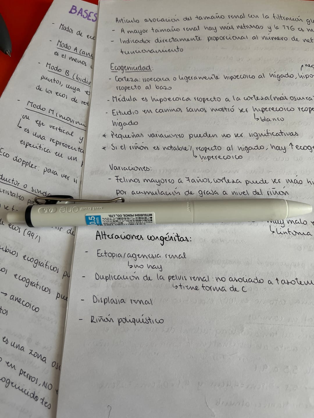 Customer photo review of Uni-ball One - Bolígrafo Tinta Gel de Colores 0,5 mm