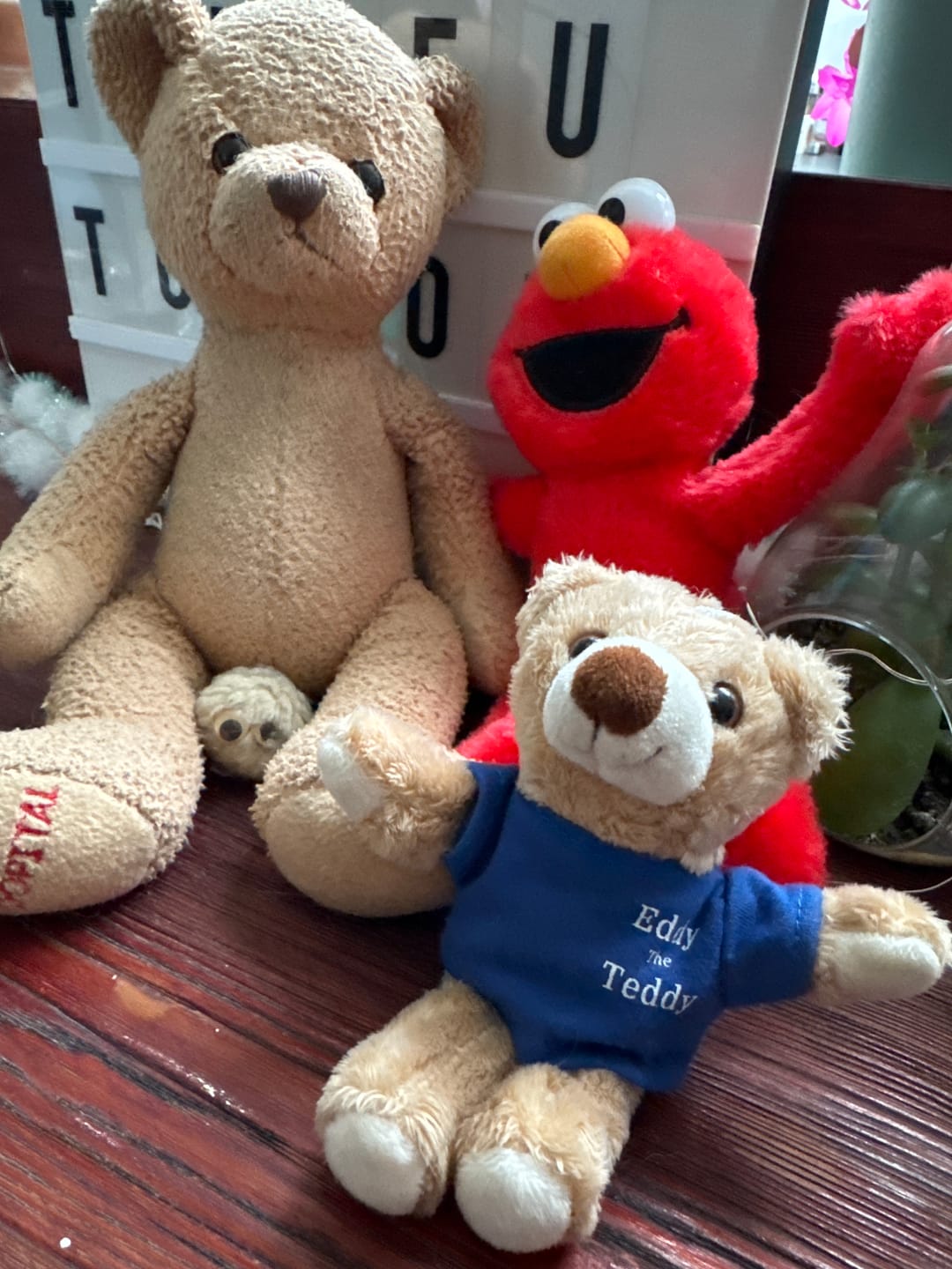 Customer photo review of Eddy The Teddy Keyring