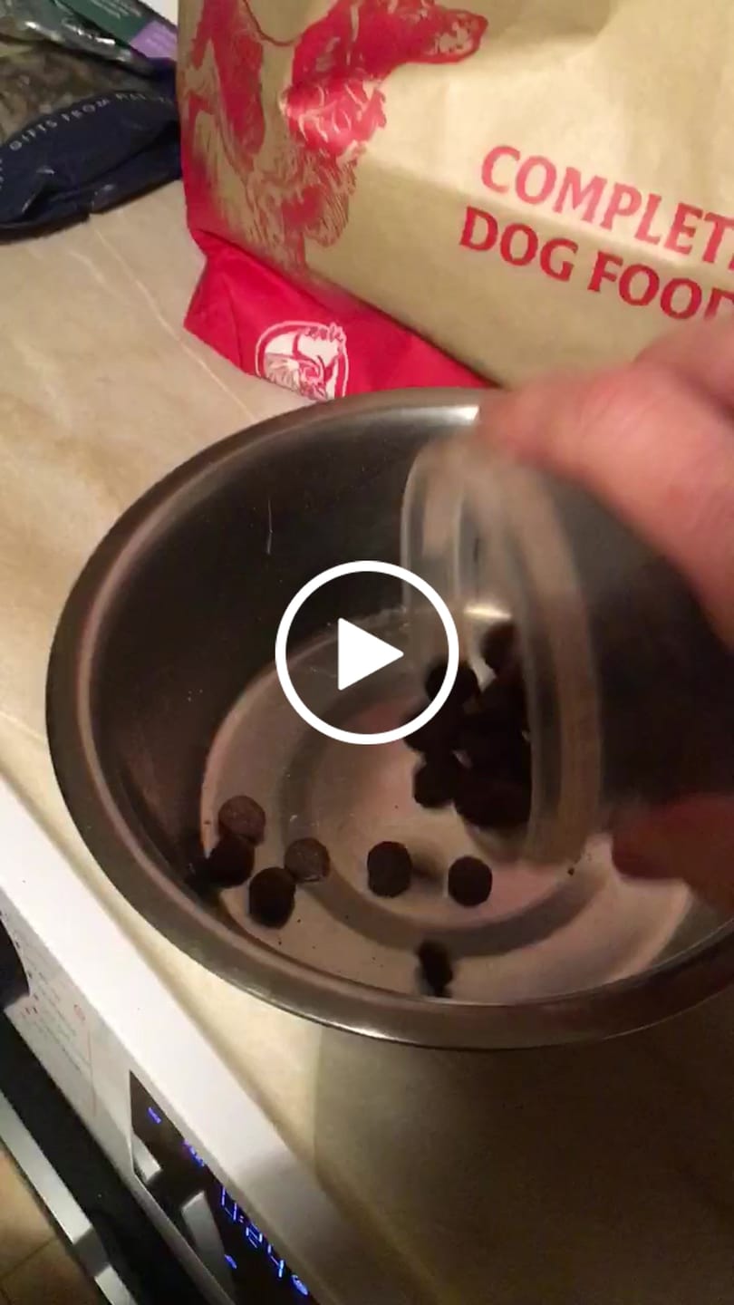 Customer video review of Scottish Salmon Dry Food