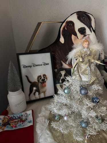 Customer photo review of Magical Pet Portrait LED Night Light