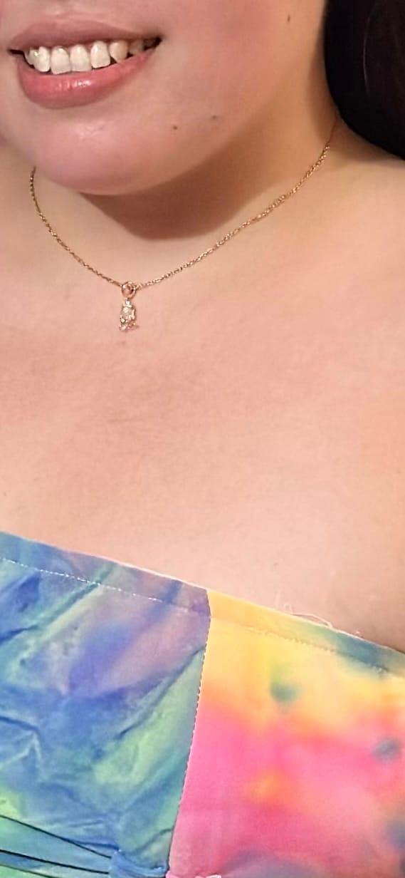 Customer photo review of Collar Princesas Disney