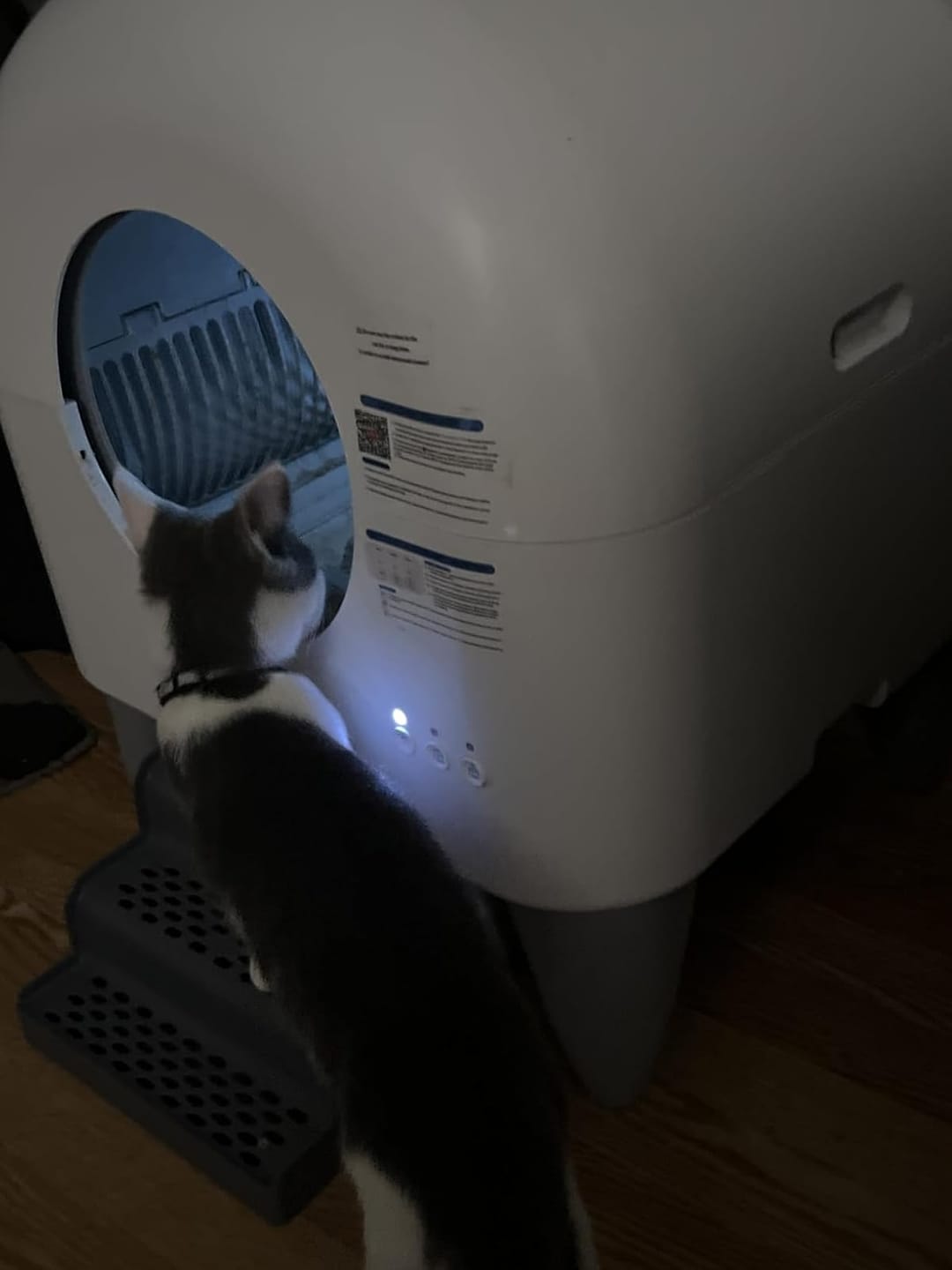 Customer photo review of Cumrige M4 Self-Cleaning Litter Box | Smart Odor-Control Automatic Cat Litter Box
