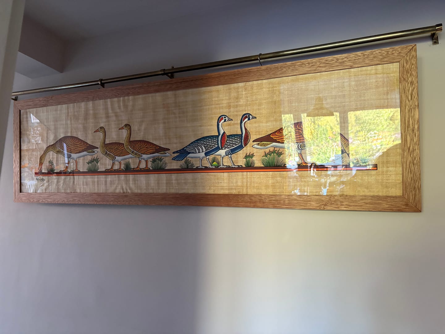 Customer photo review of Aged Brass Hanging Rail