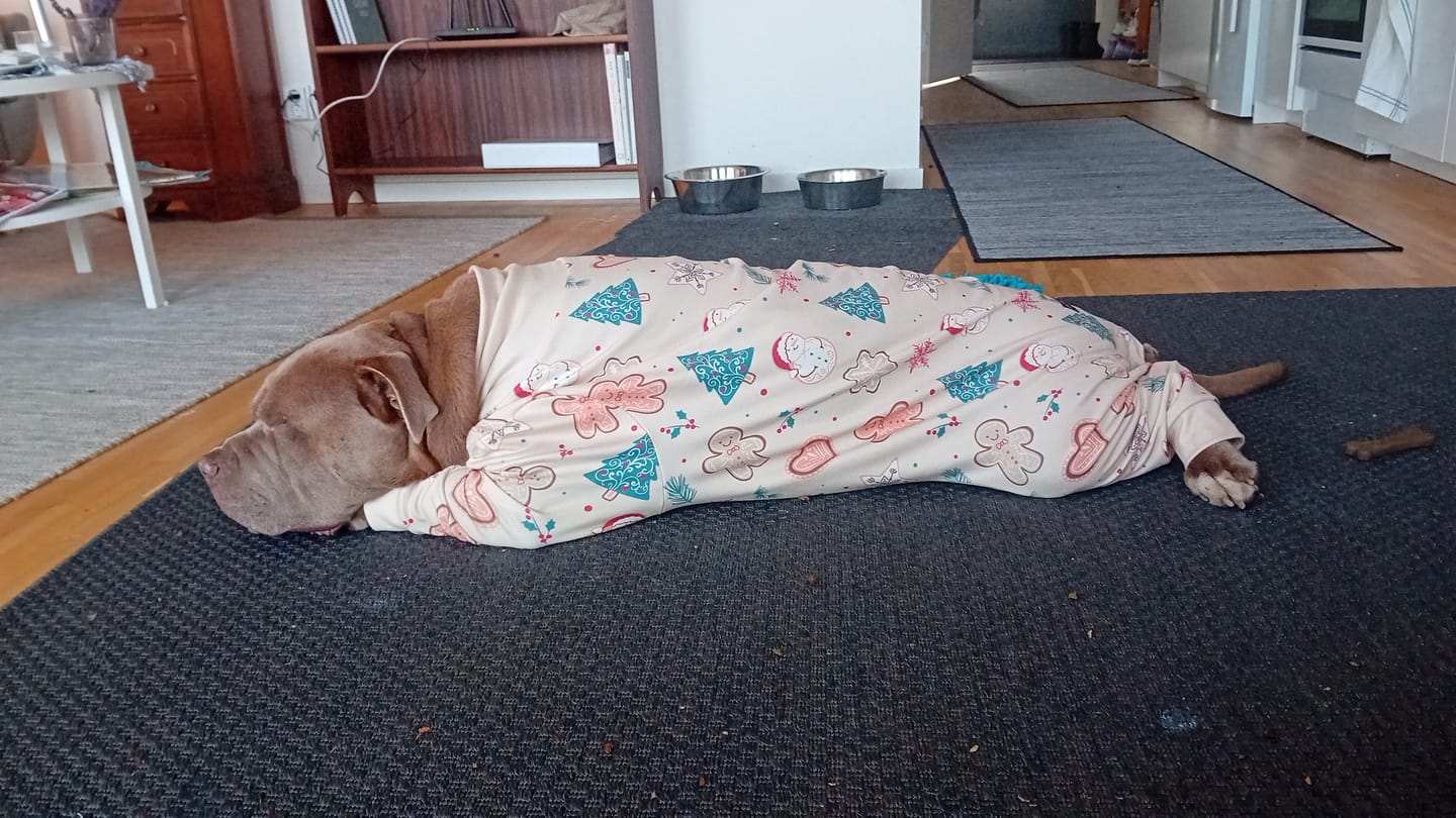 Customer photo review of Dog Christmas Pajama - Frosty Night