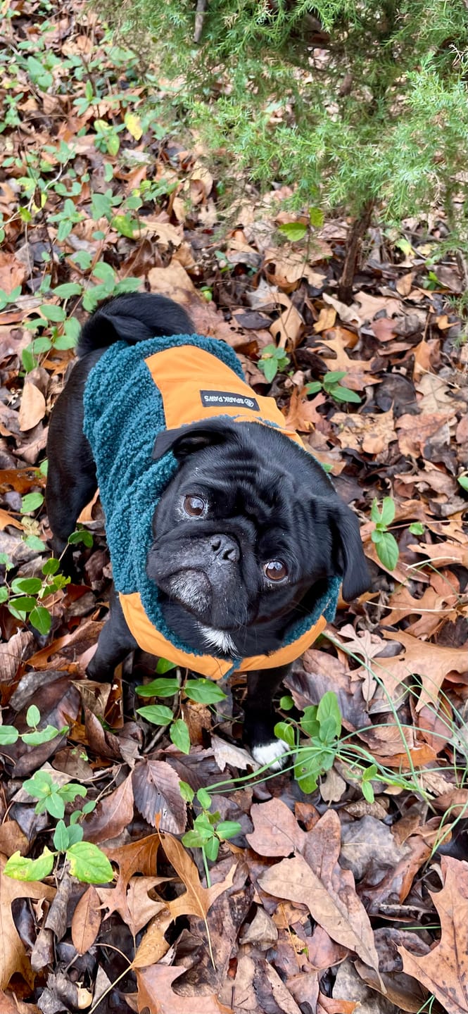 Customer photo review of Reversible Jacket - Green and Orange