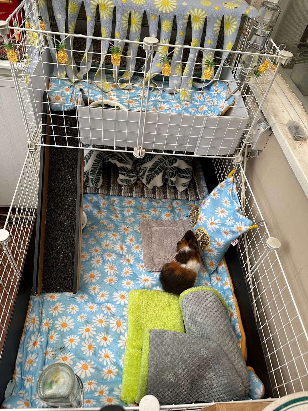 Customer photo review of Set of 2 Fleece Liners | Daisy