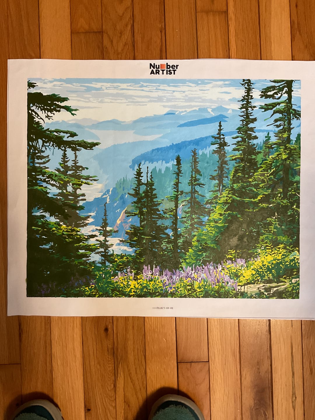 Customer photo review of Olympic National Park