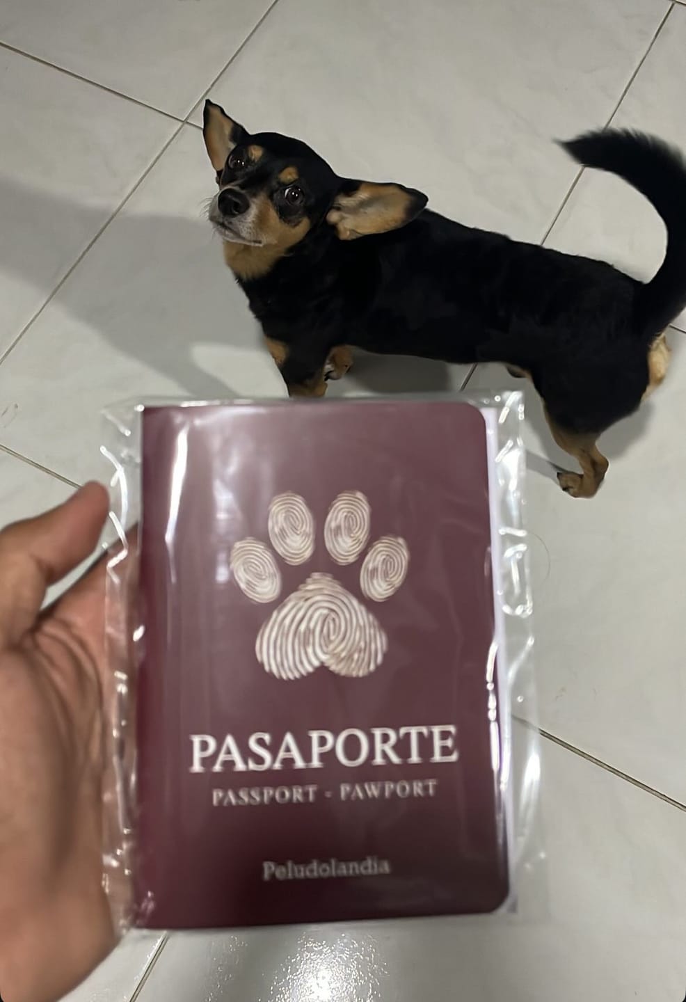 Customer photo review of Pasaporte Para Mascotas
