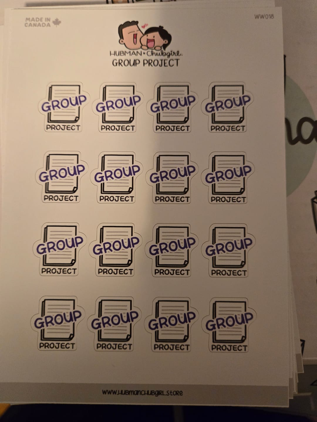 Customer photo review of Paper Due Planner Stickers