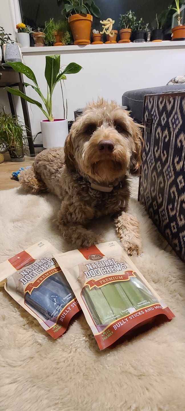 Customer photo review of Blueberry Himalayan Yak Chew (MEDIUM)