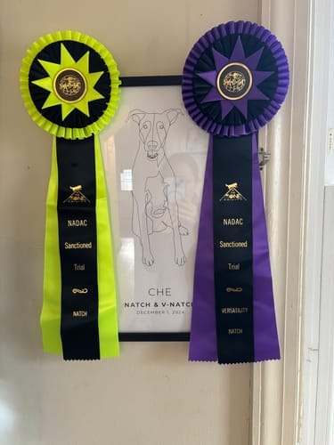 Customer photo review of Classic Custom Poster