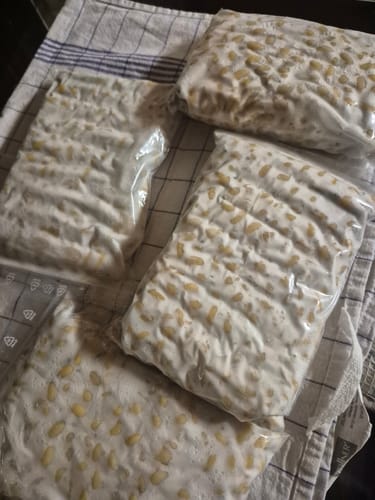Customer photo review of BIO Tempeh-Revolution: Starter-Kultur für Heimfermentation