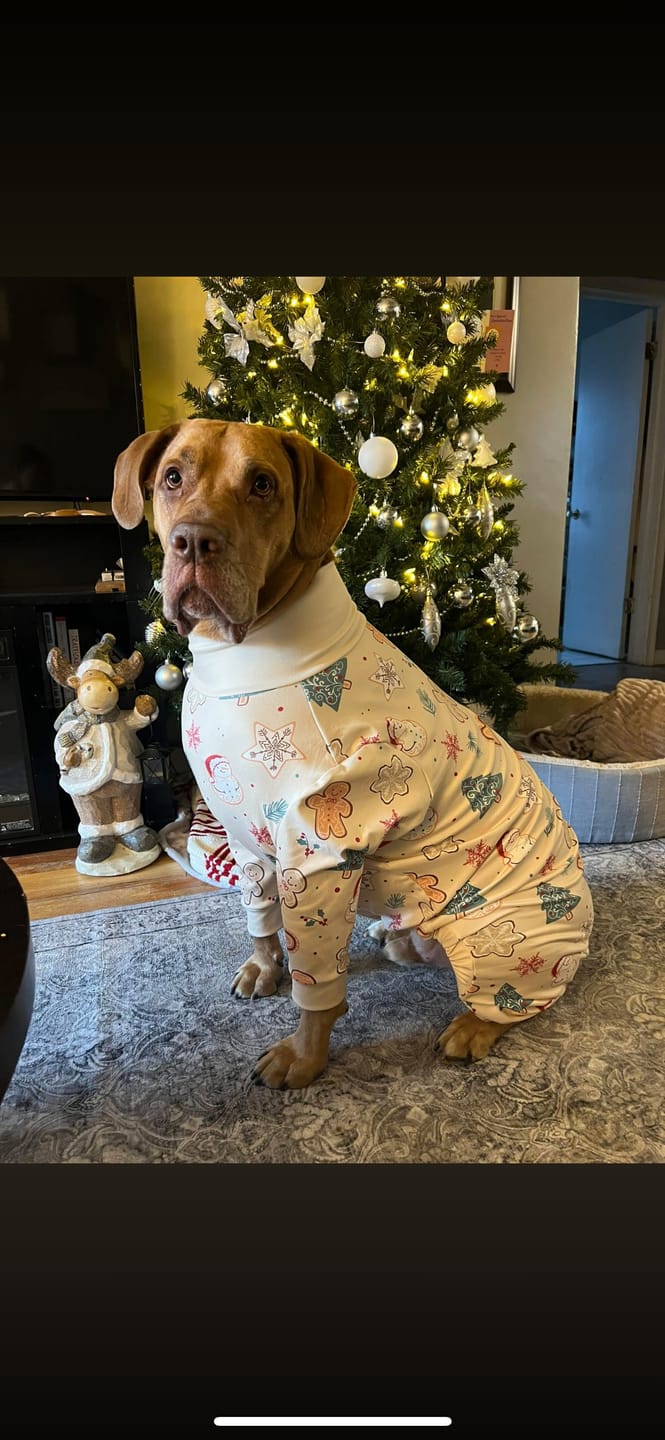 Customer photo review of Dog Christmas Pajama - Frosty Night