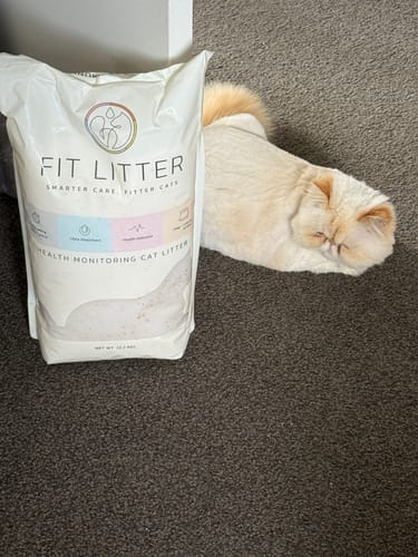 Customer photo review of Fit Litter