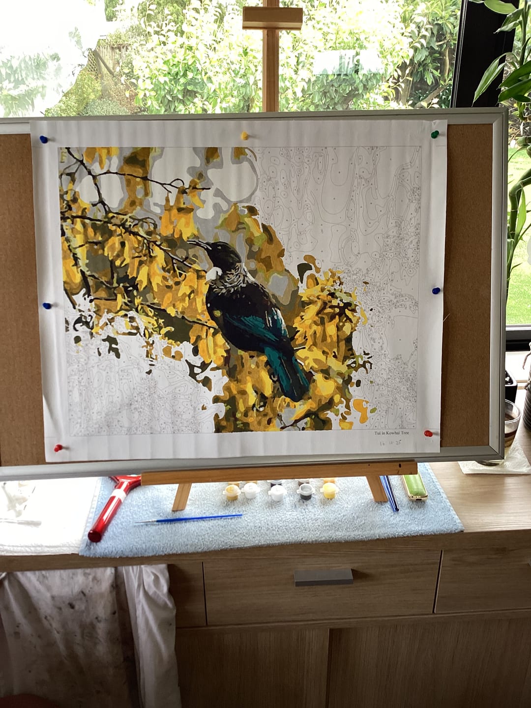 Customer photo review of Tui in Kowhai Tree