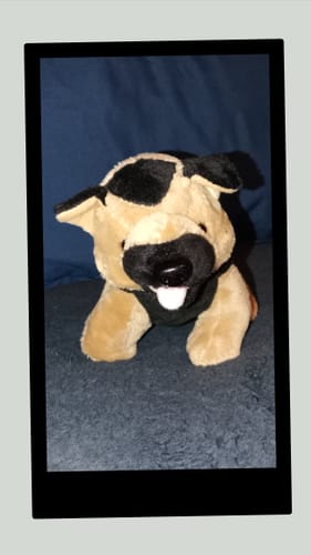 Customer photo review of Woof Woof the Dog