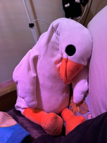 Customer photo review of Weighted HugaLump Animal Plush  Medium