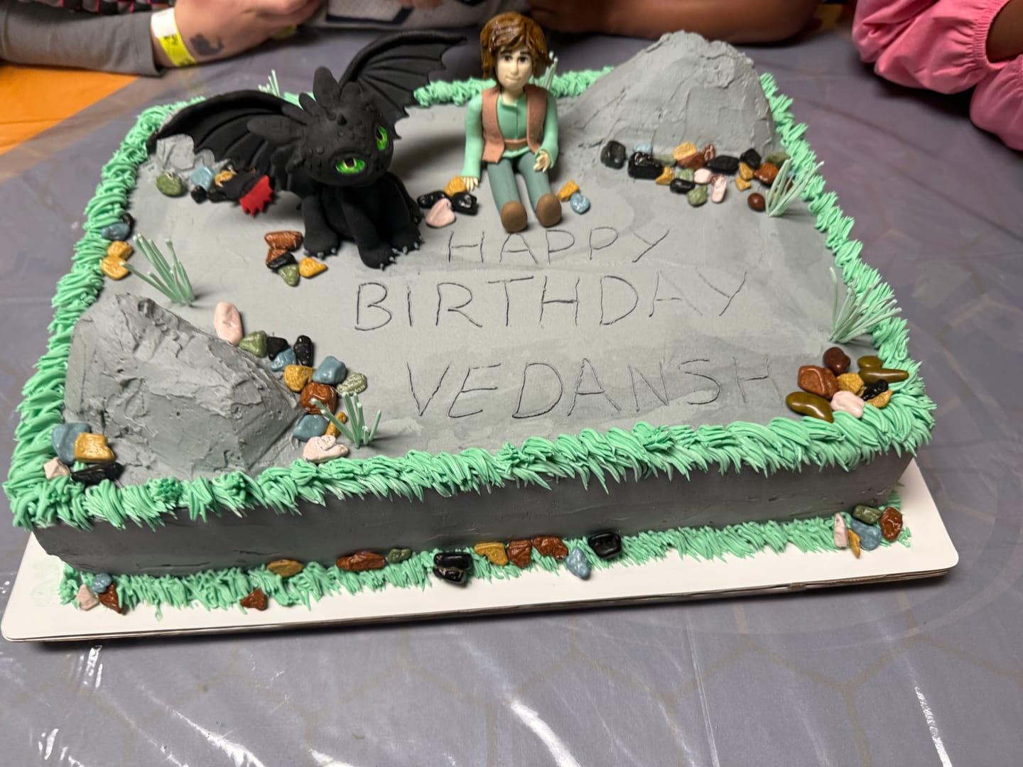 Customer photo review of How To Train Your Dragon