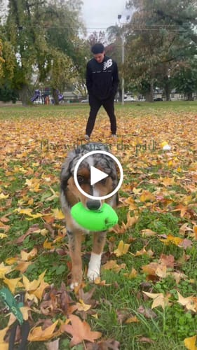 Customer video review of Squeak & Glow Football