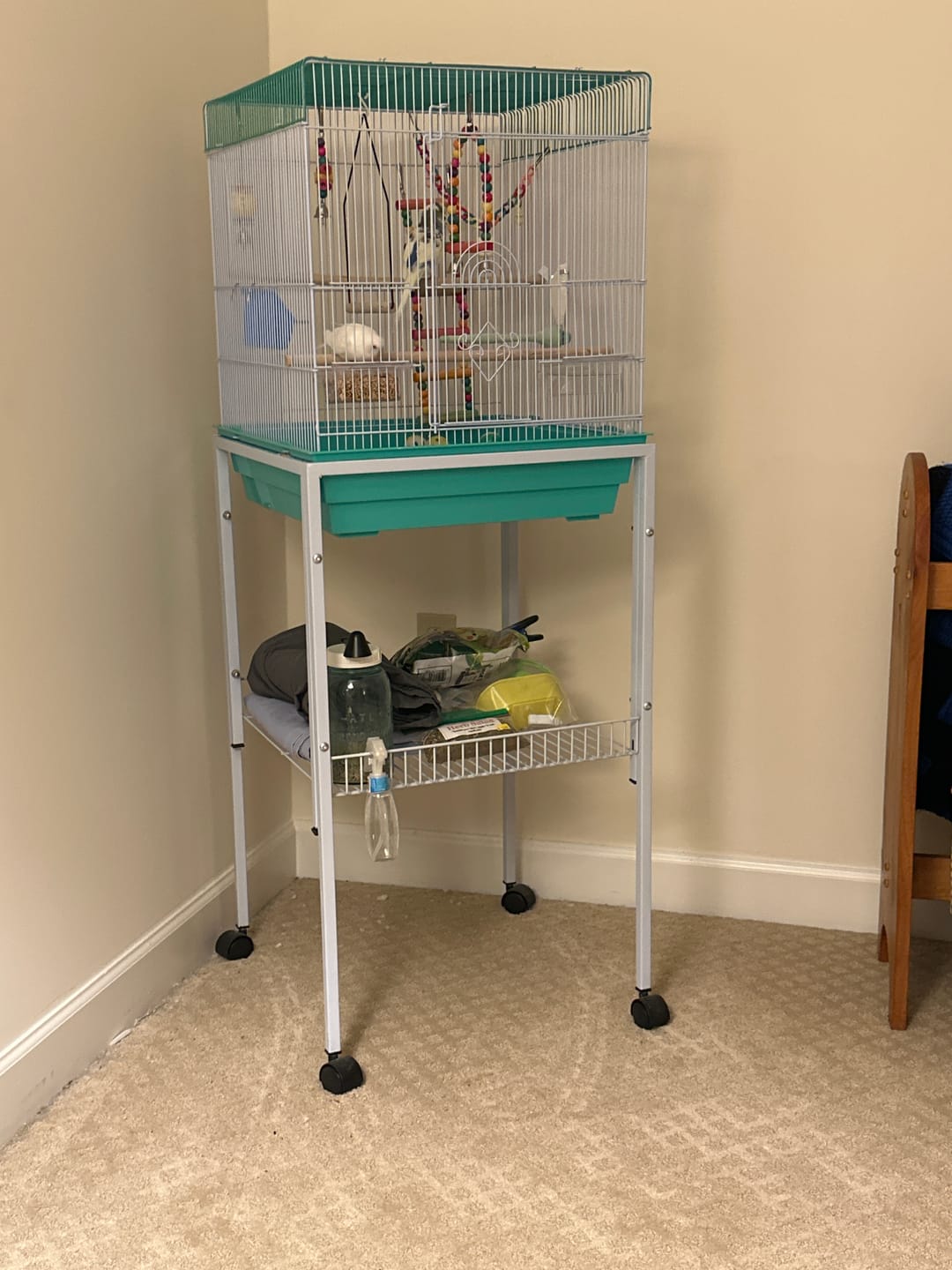Customer photo review of Kings Cages ES5 Metal Stand for All ES1818 Cages  (Single Stand)