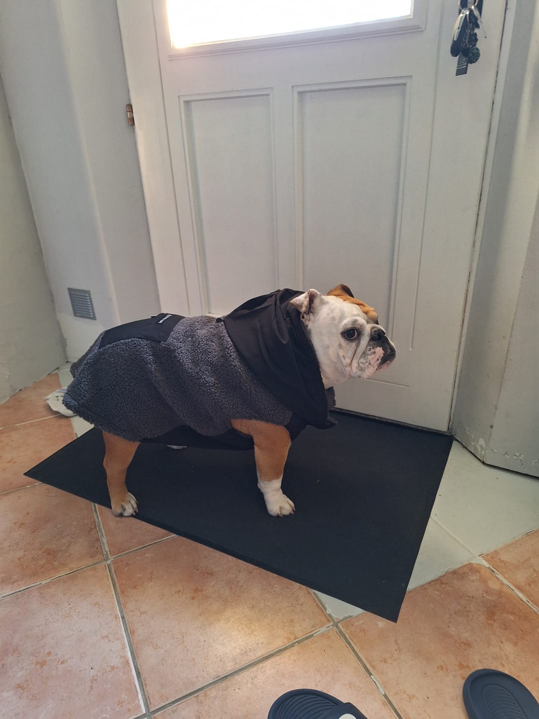 Customer photo review of Reversible Sherpa Jacket - Grey and Black