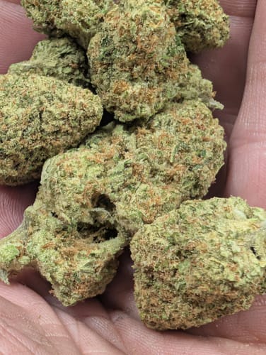 Customer photo review of Acapulco Gold THCA Flower