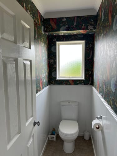 Customer photo review of Yasuni - Green - Last 5 Rolls