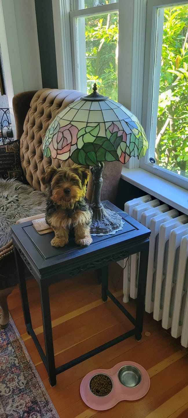 Customer photo review of Small Bully Stick Ring