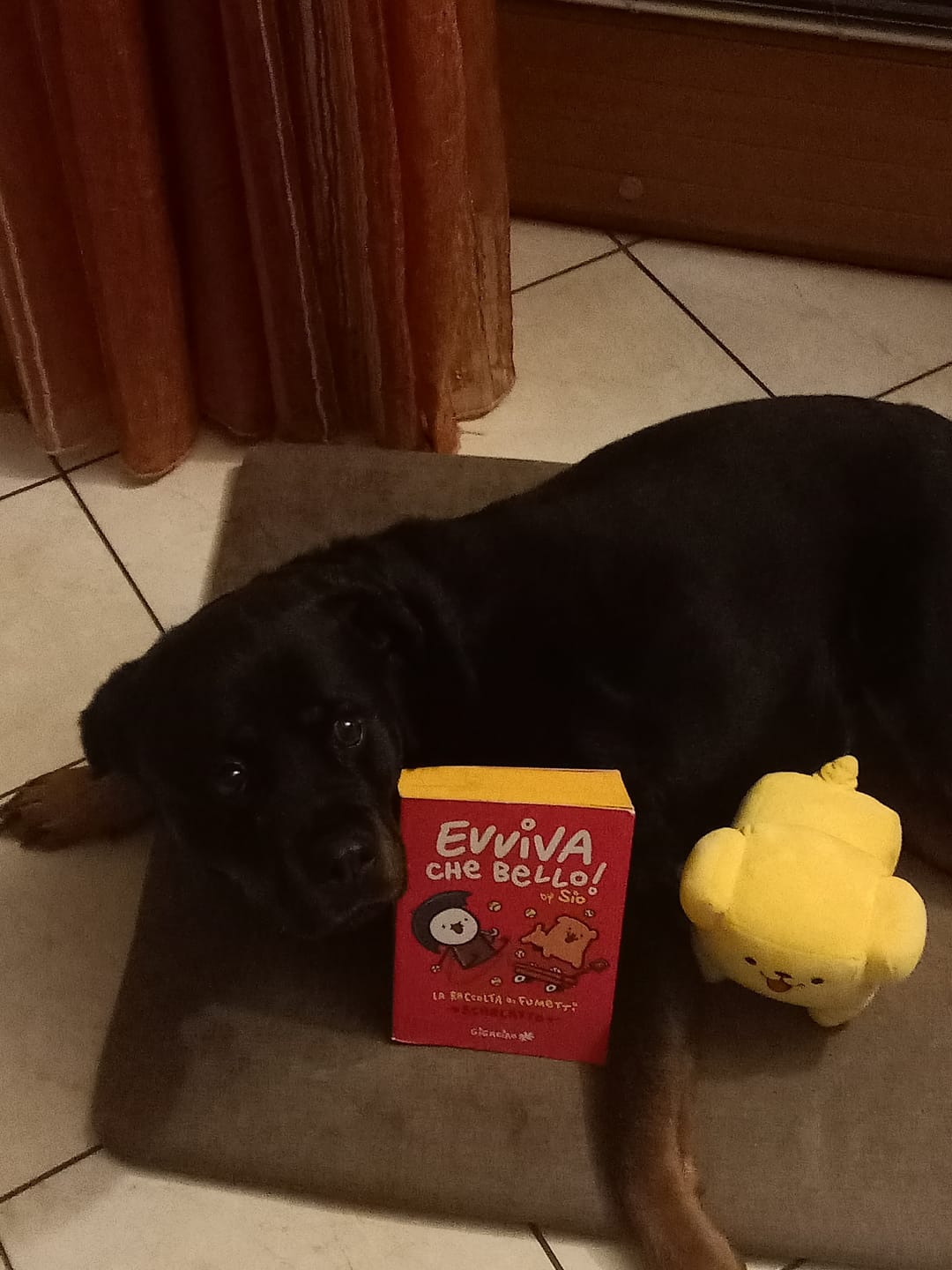 Customer photo review of Spille Super Colorate di Sio!