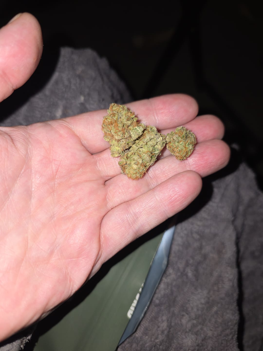 Customer photo review of Exotic Shake