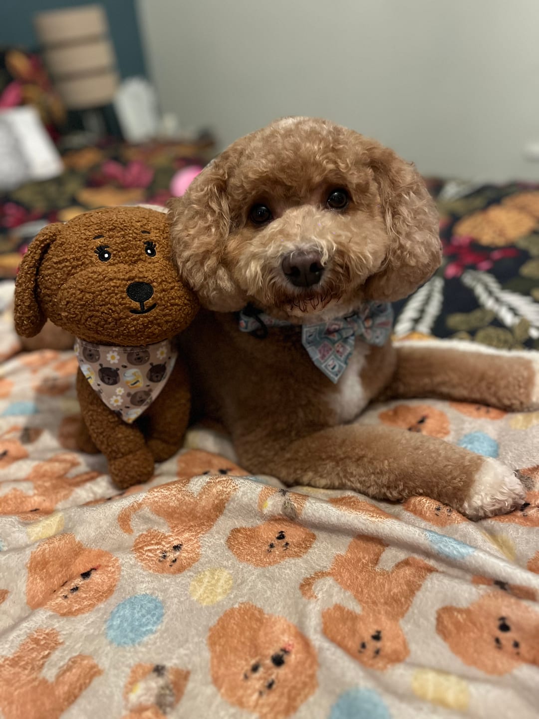 Customer photo review of Toy Lilo Plushie
