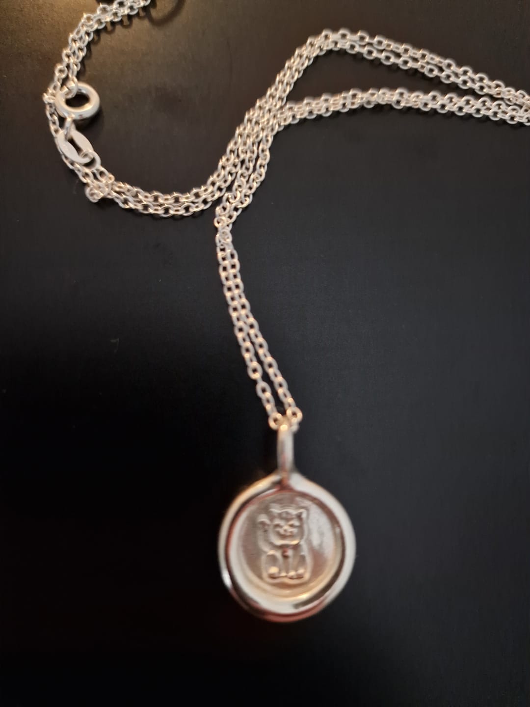 Customer photo review of Lucky Cat Charm Pendant Necklace