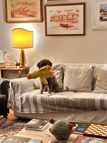 Customer photo review of Duck™ - Il Pupazzo Indistruttibile