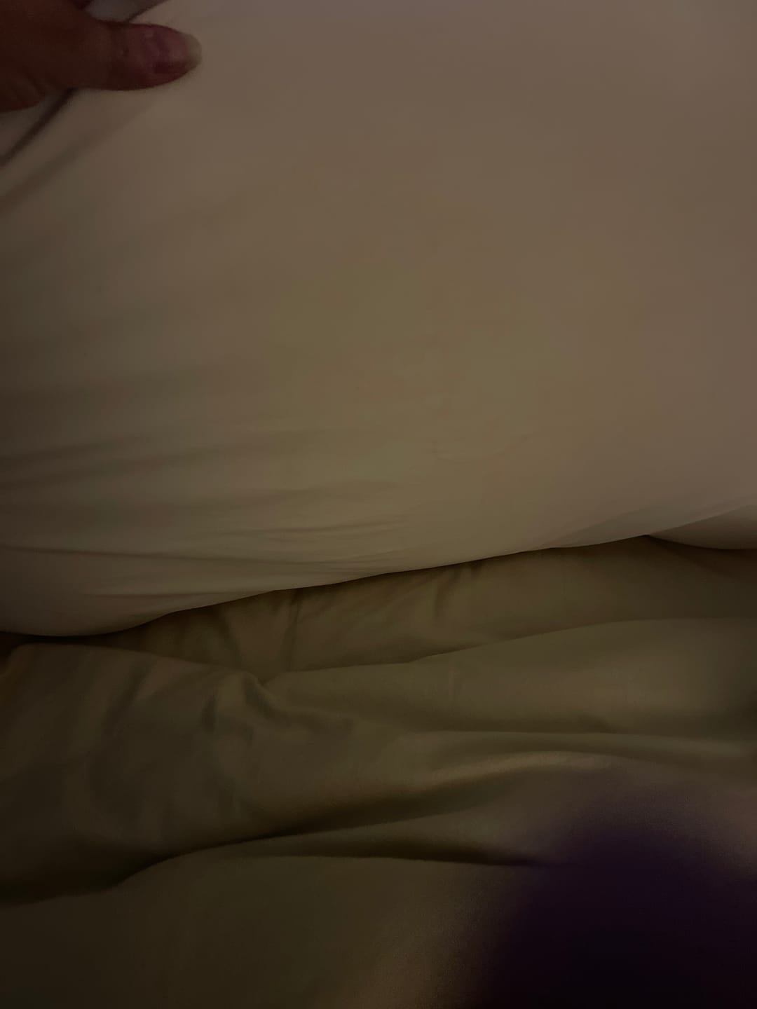 Bokihuk Cloud-Shaped Single-Ear Pillow