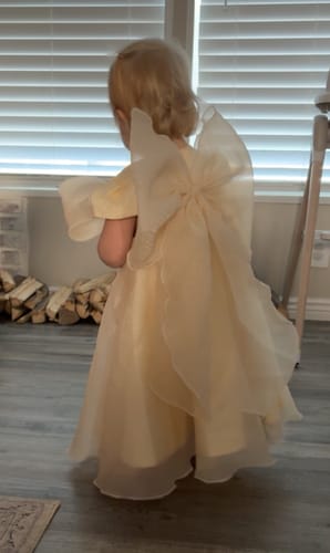 Customer photo review of Summer Cute Baby Girl First Communion Dress Toddler Birthday Dresses