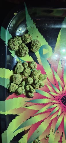 Customer photo review of Cheap THCA Smalls Pound