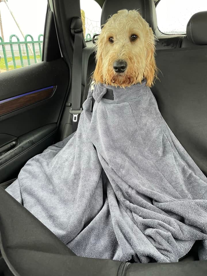 Customer photo review of Luxury Dog Drying Bag