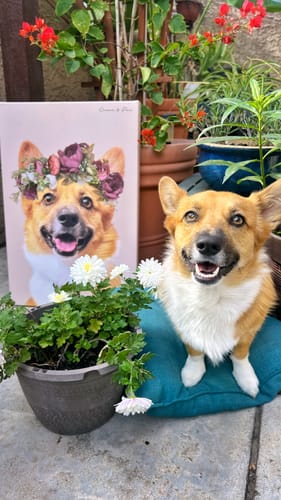Customer photo review of Floral Crown Pet Portrait - Custom Canvas