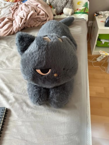Customer photo review of Mystic Cats Family Plushies