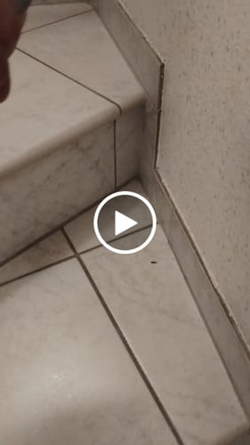 Customer video review of Power Silberfisch-Spray