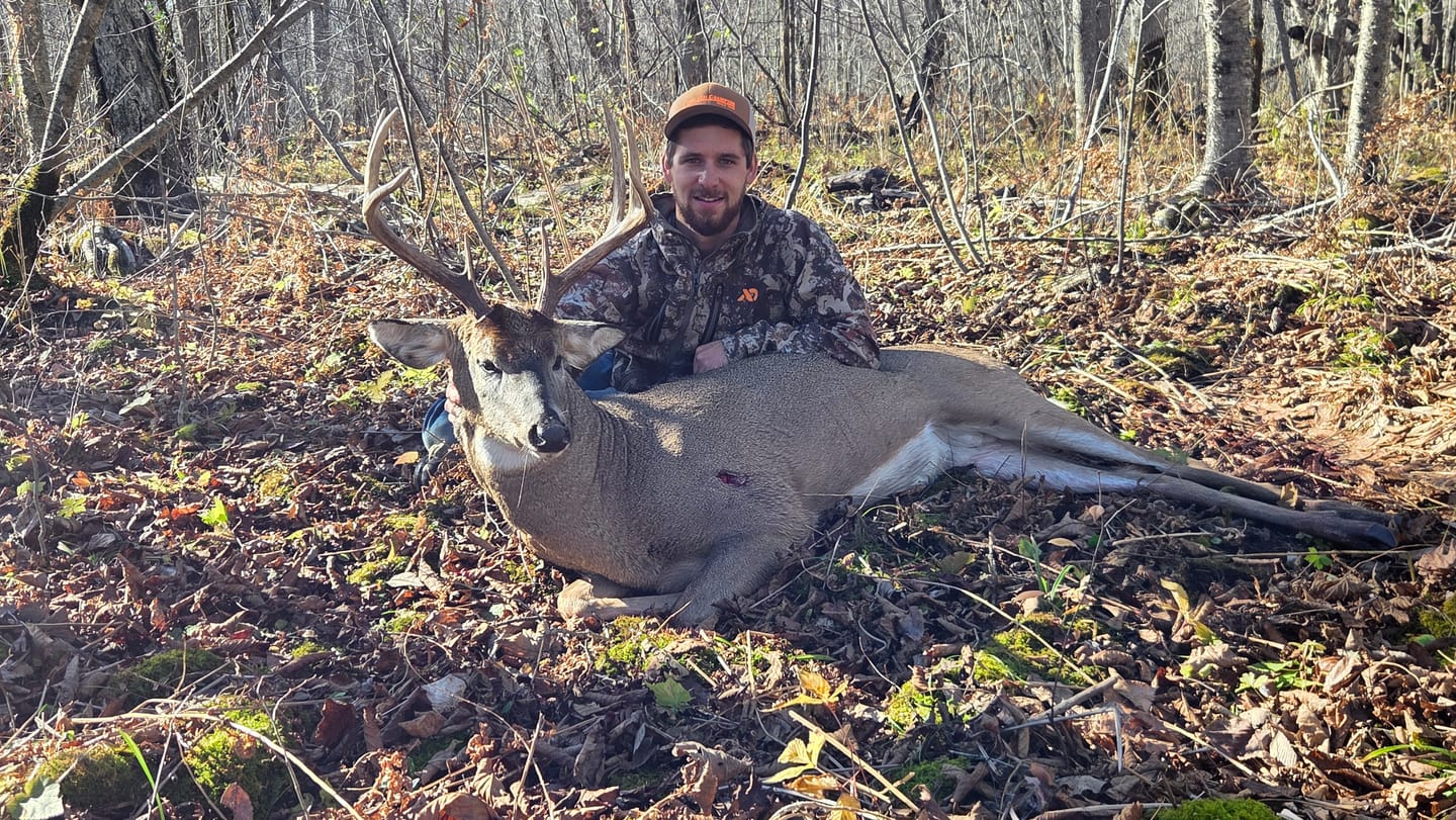 Customer photo review of Titanium Broadheads