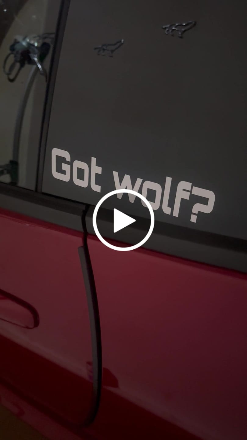 Customer video review of Custom Text Decal (20cm)