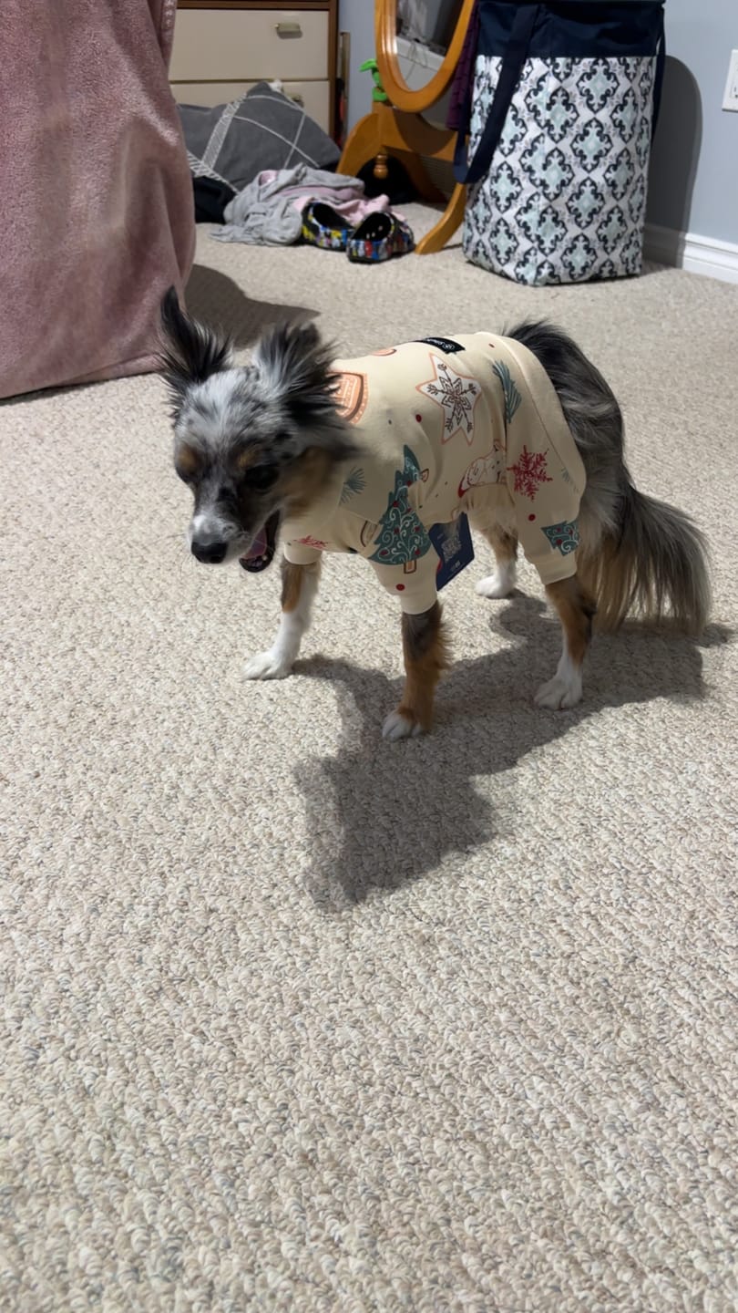 Customer photo review of Dog Christmas Pajama - Frosty Night
