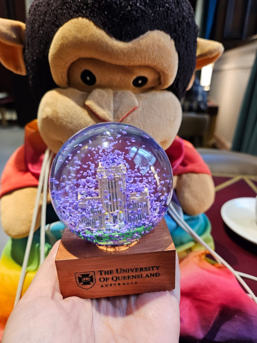 Customer photo review of UQ Jacaranda Globe